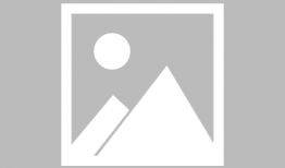 www动漫,www动漫的奇幻之旅